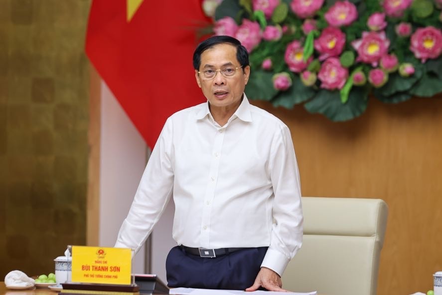 Thủ tướng: Khẩn trương trình Quốc hội cơ chế, chính sách đặc biệt, đột phá thực hiện hội nhập quốc tế- Ảnh 3.