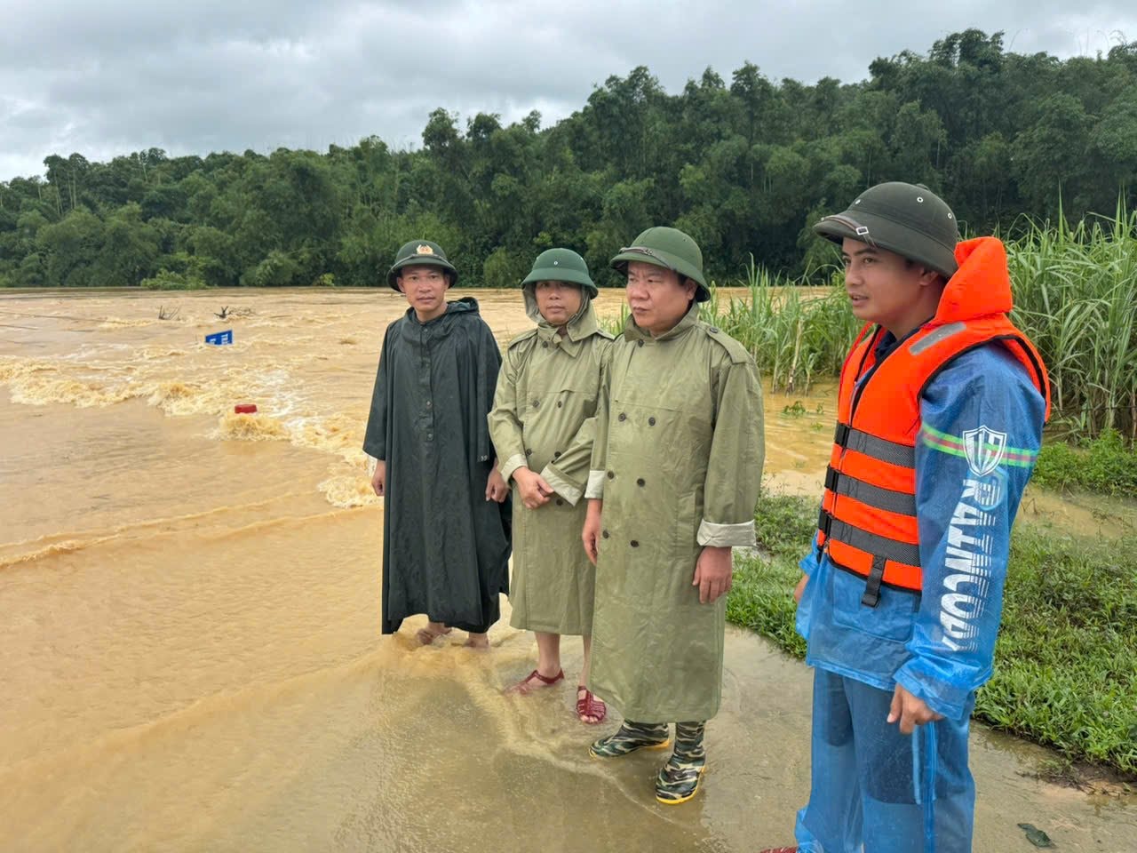 ngaplut.jpg