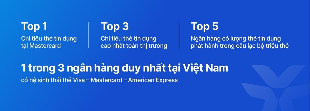 vib13.jpg