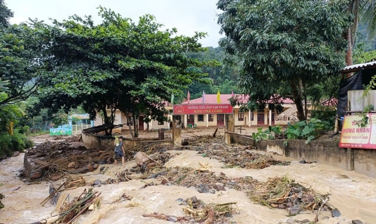 tamthanh.jpg