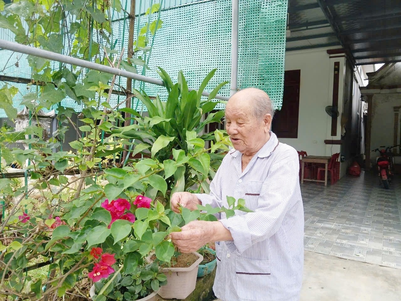 cu_tran_hau_hoa.jpg