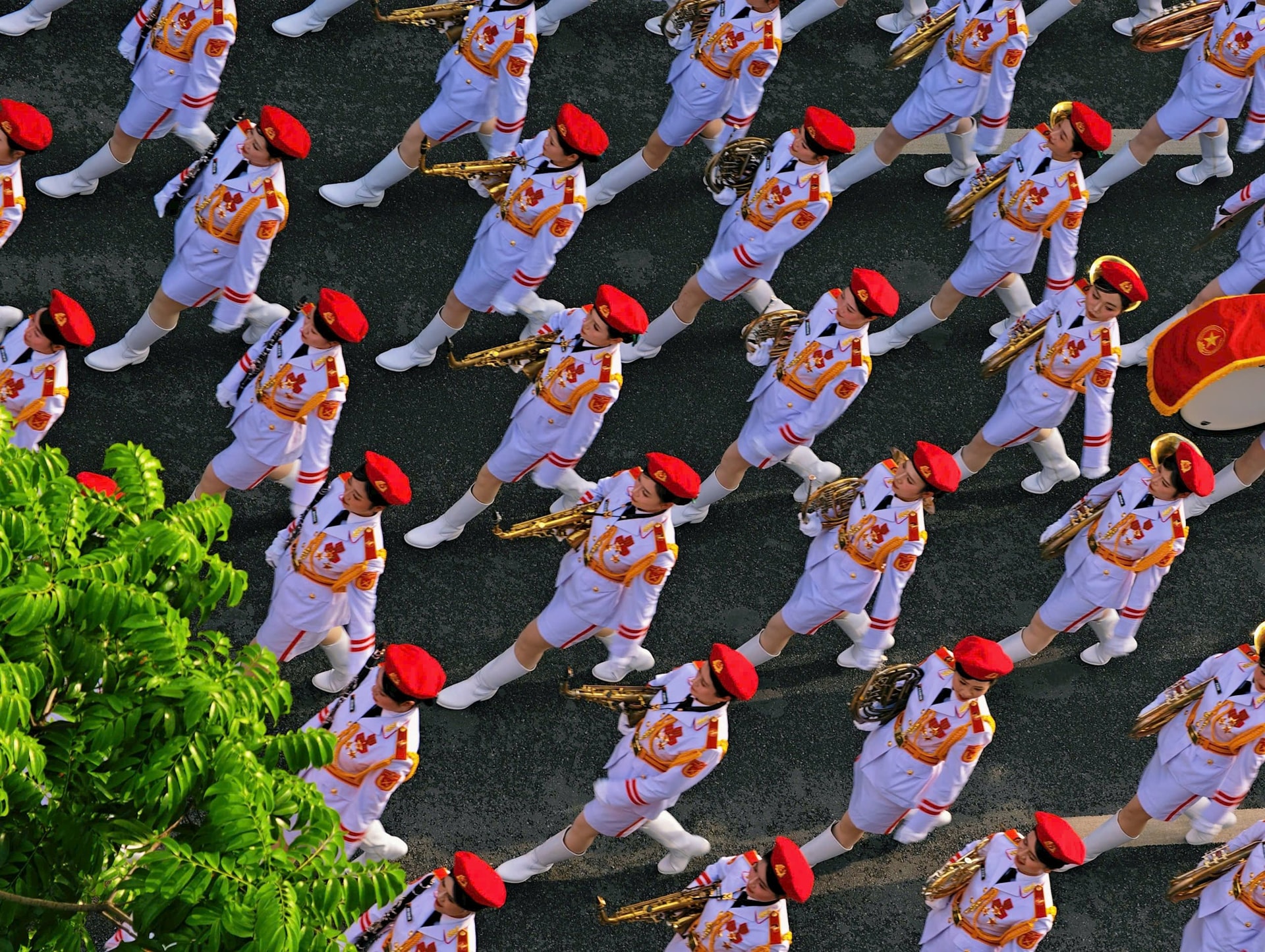 56daecfd52e9d9b780f8.jpg