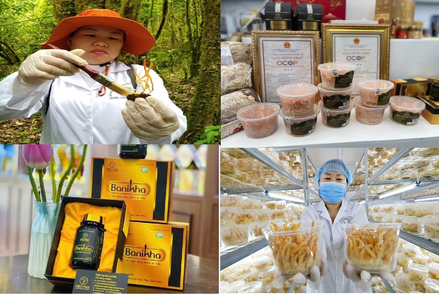 trien-lam-cty-thienphuc-nam-dong-trung-ha-thao.jpg