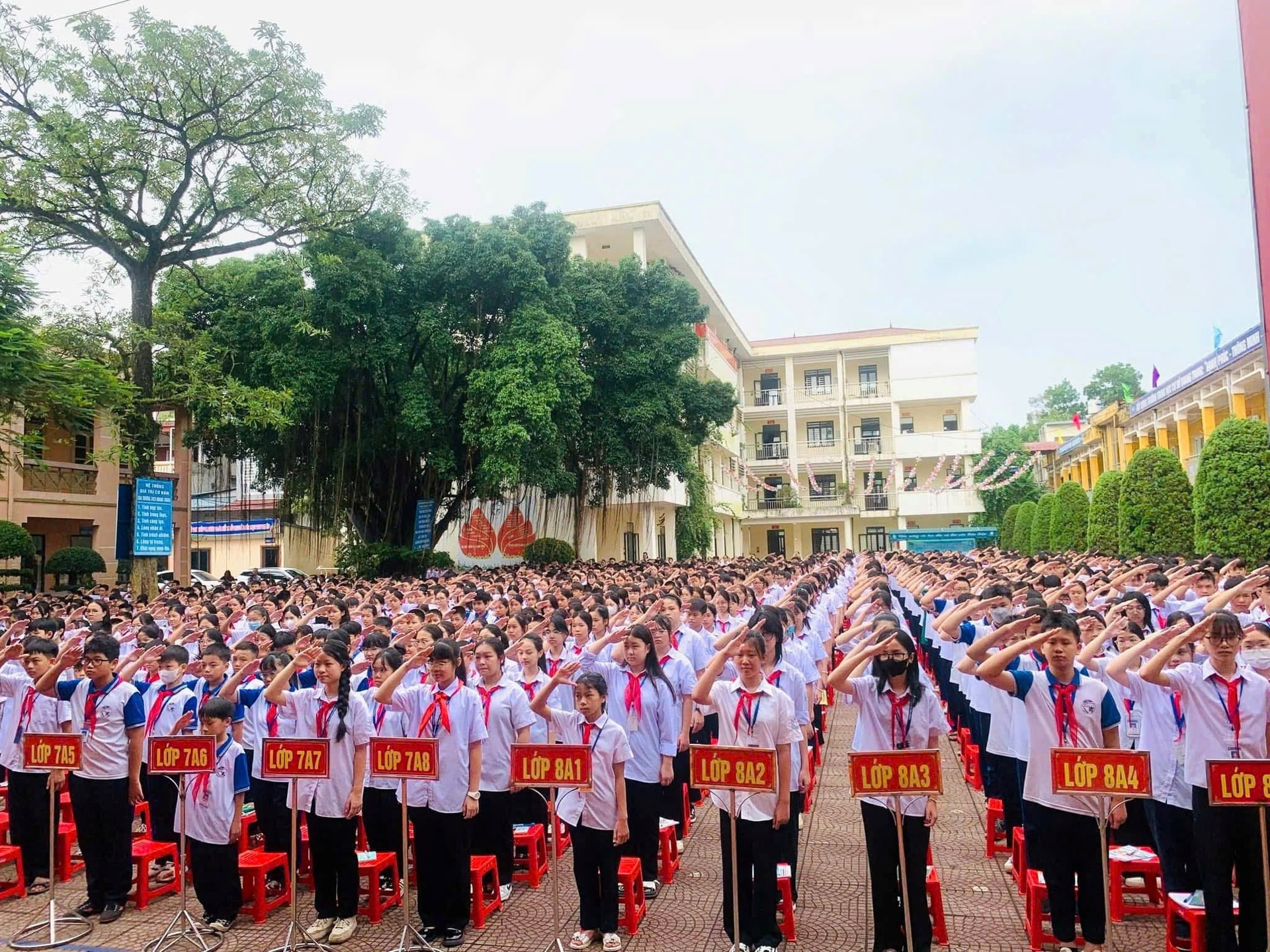 thai-nguyen.jpg