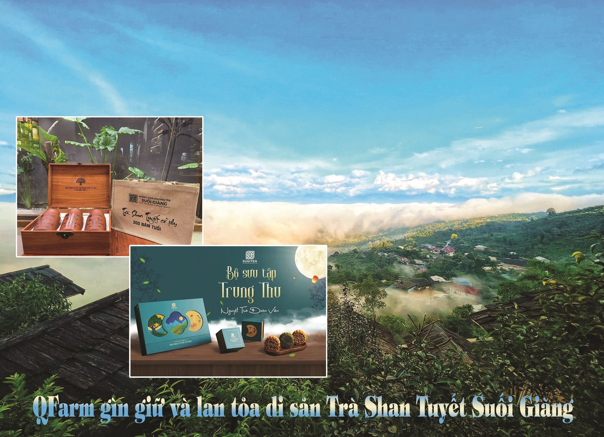 tra-shan-tuyet-suoi-giang.jpg