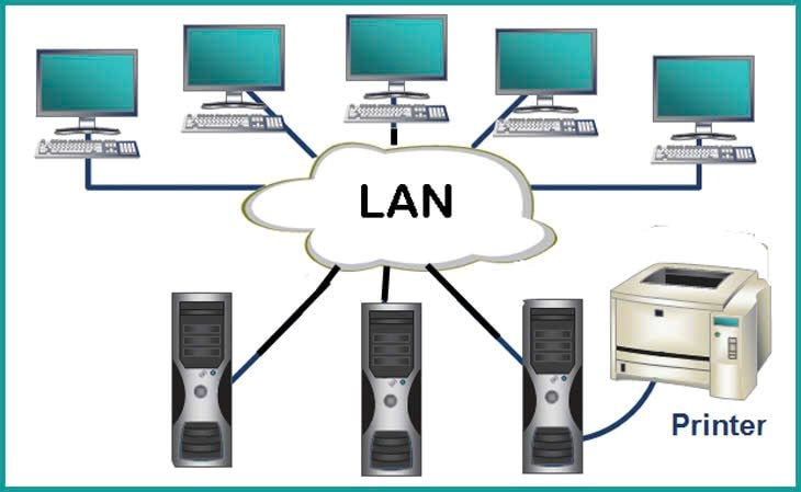 9-9-mang-lan9.jpg