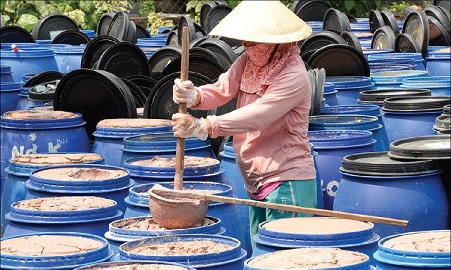 cac-phuong-phap-san-xuat-nuoc-mam-truyen-thong-o-nuoc-ta-26-.5368.jpg