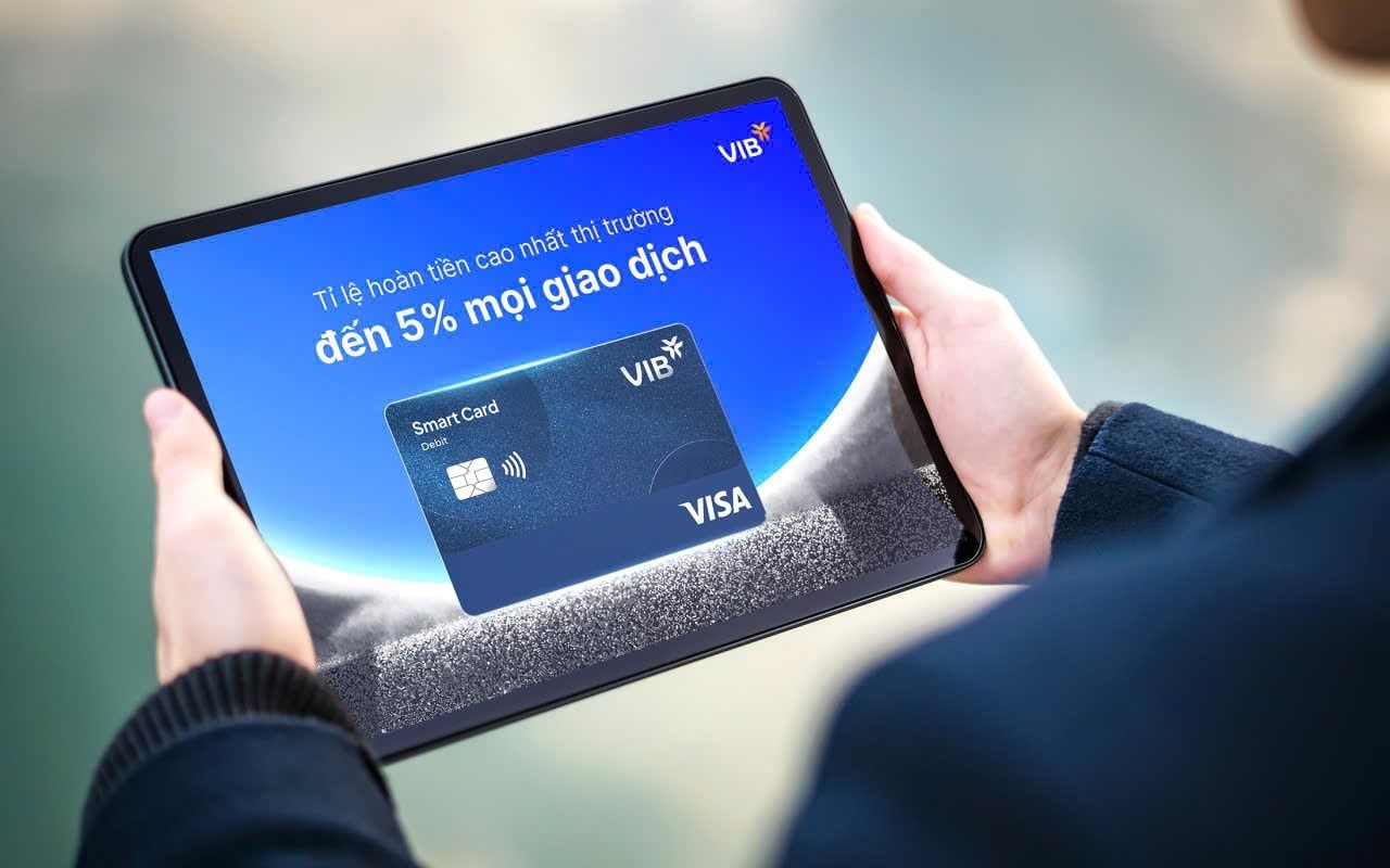 vib1.jpg