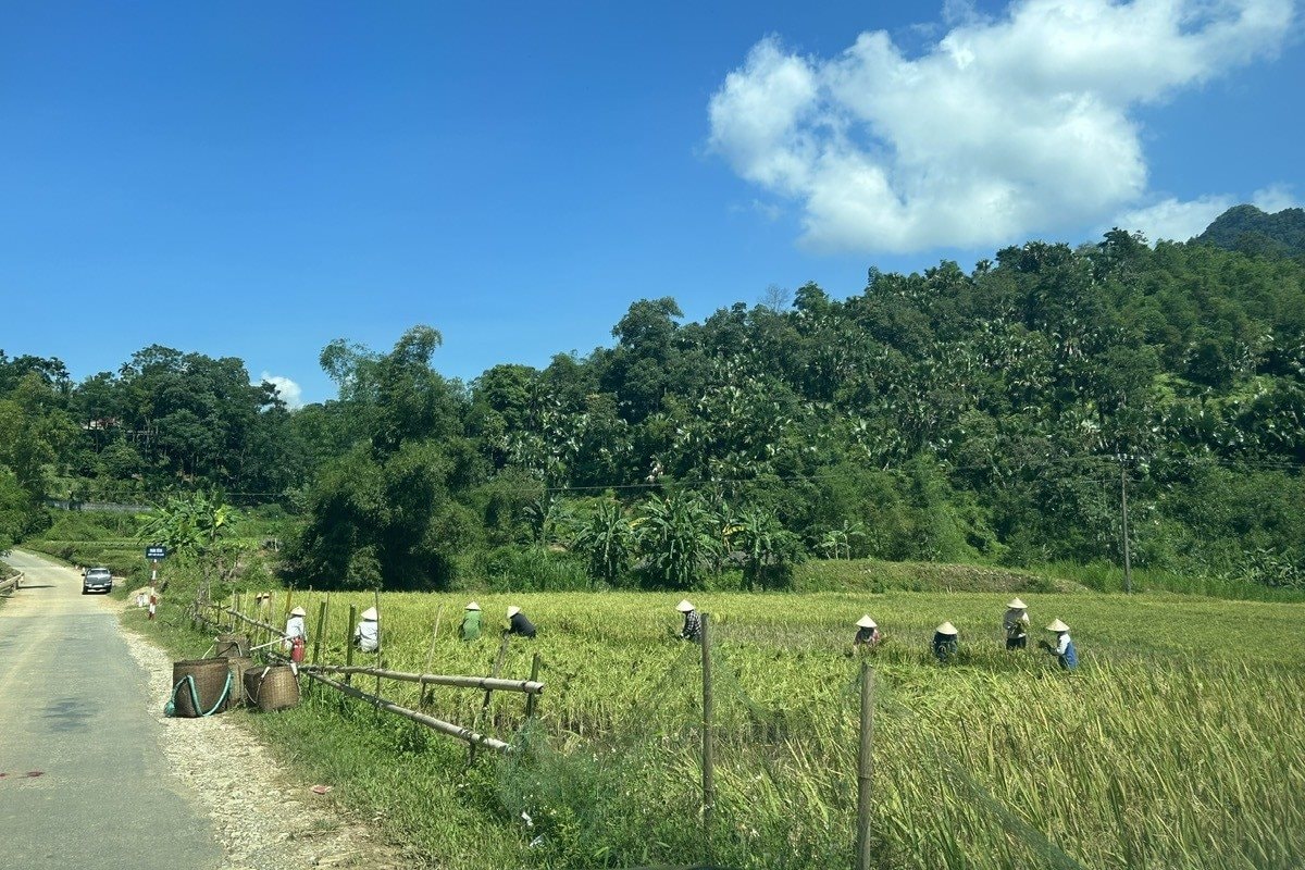 gatlua.jpg