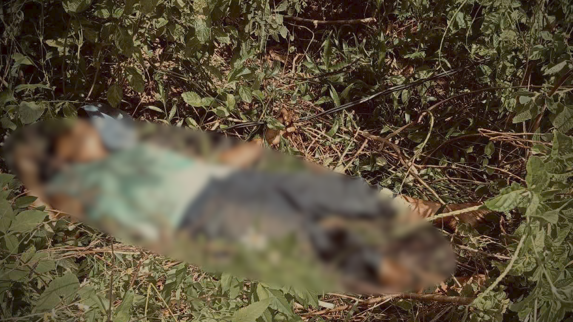 z6851467962173_aea97de0b8265ecfde9ad99934073057.00_35_10_13.still070.png