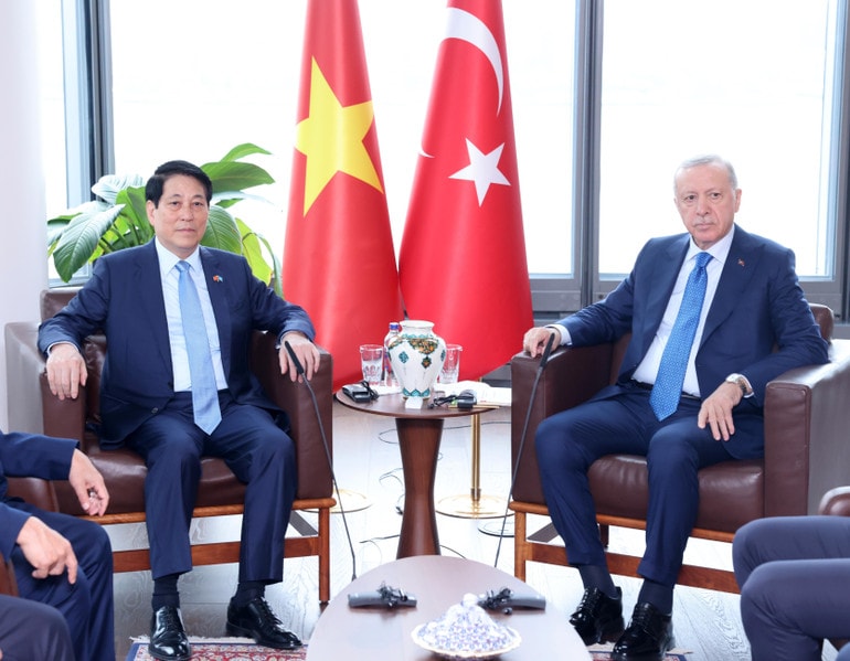 vna-potal-chu-tich-nuoc-luong-cuong-gap-tong-thong-tho-nhi-ky-recep-tayyip-erdogan-8295114.jpg