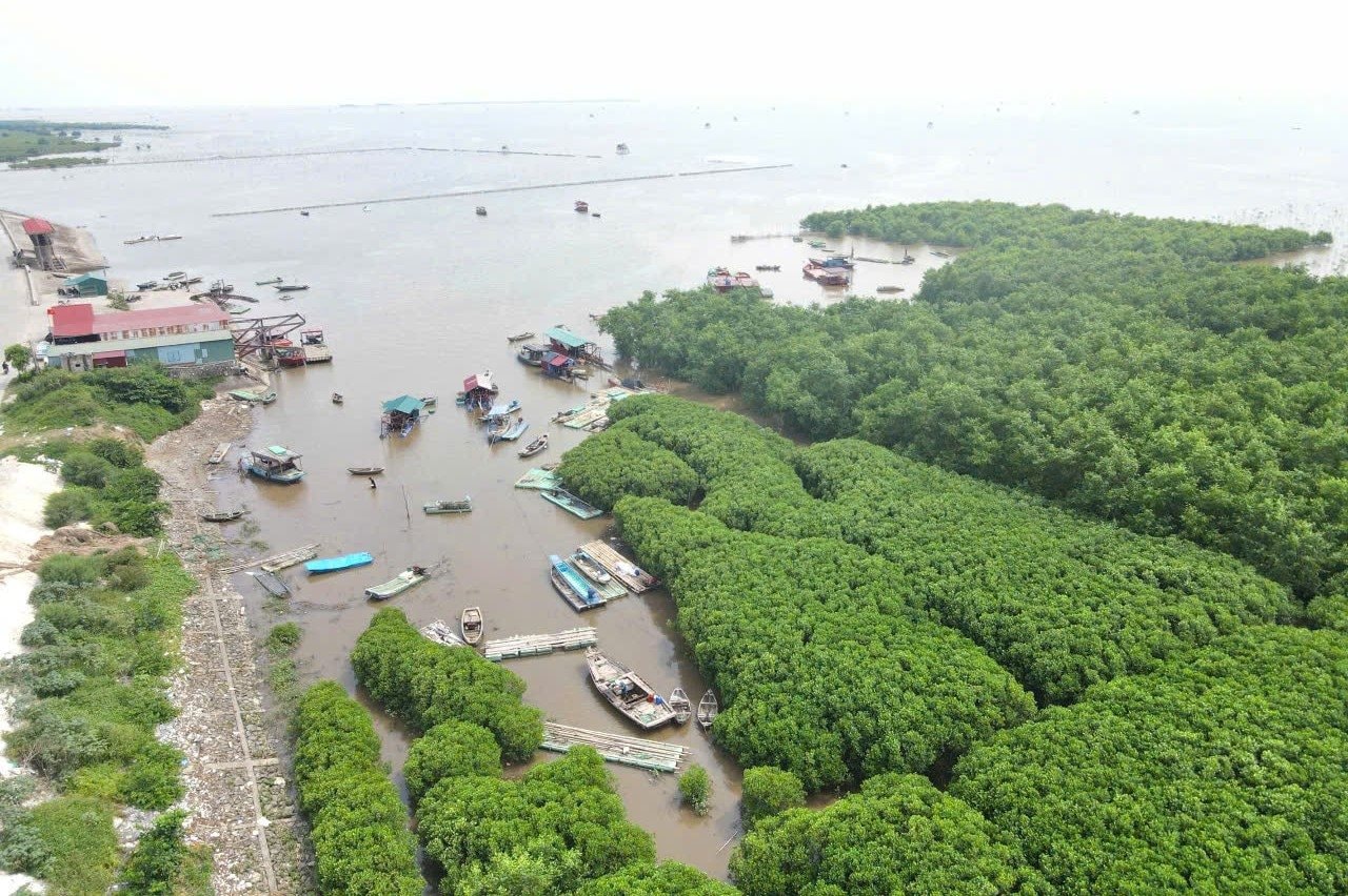 ninh_binh.jpg