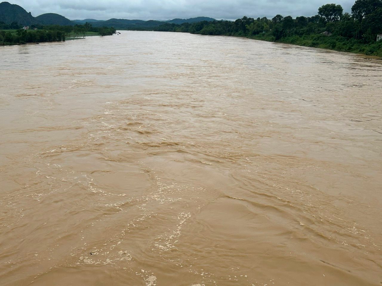 songchu.jpg