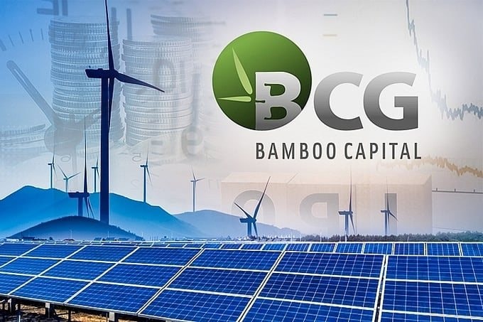 bamboo-capital-1115.jpg