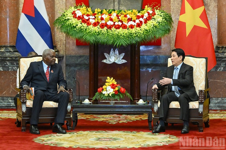 image-2.jpg