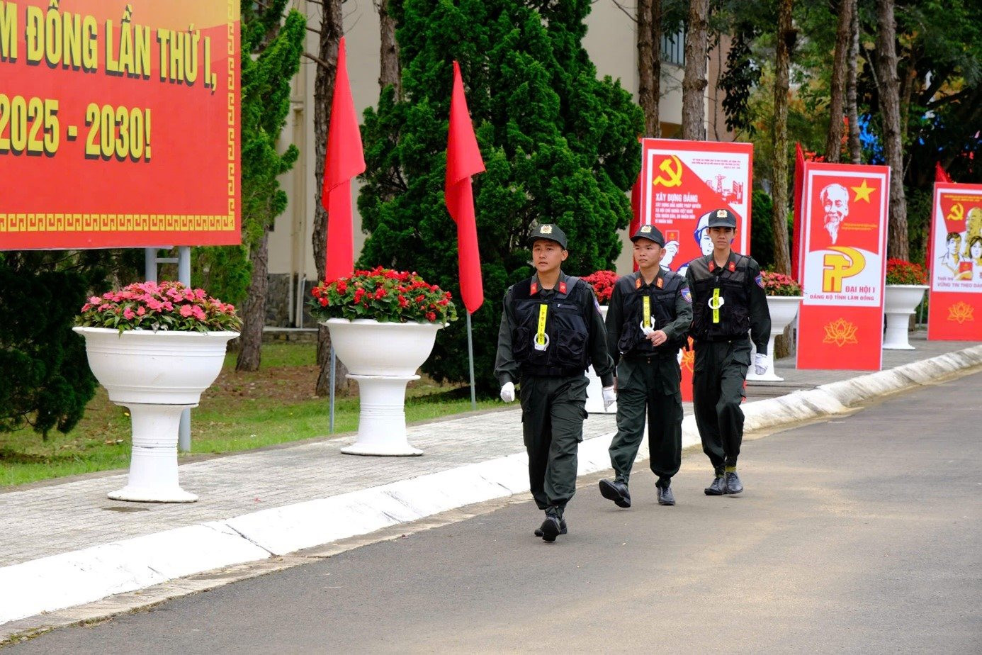 dh9.jpg