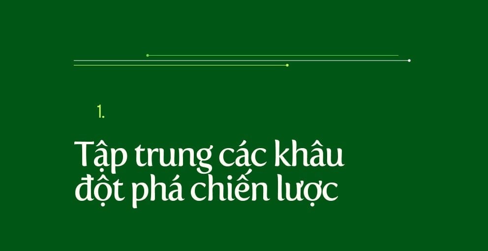 mt1.jpg