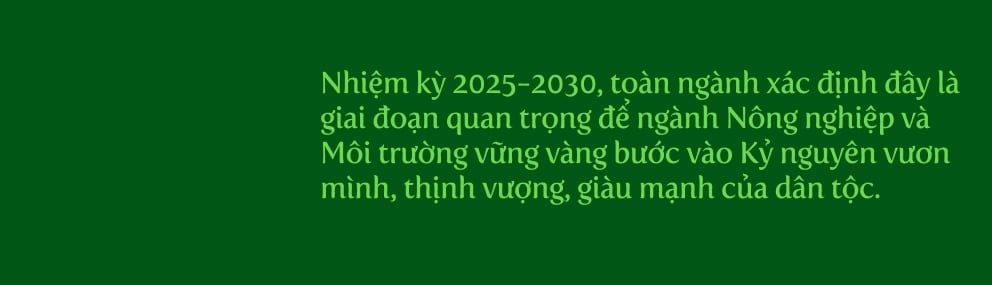 mt10.jpg