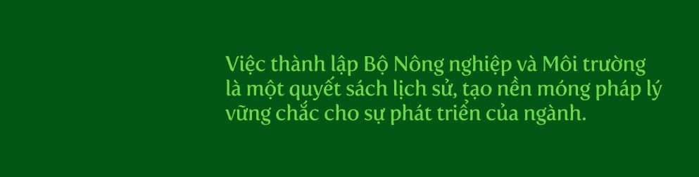 mt5.jpg