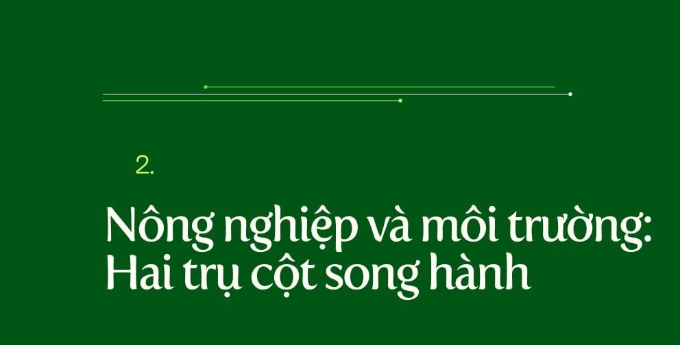 mt6.jpg