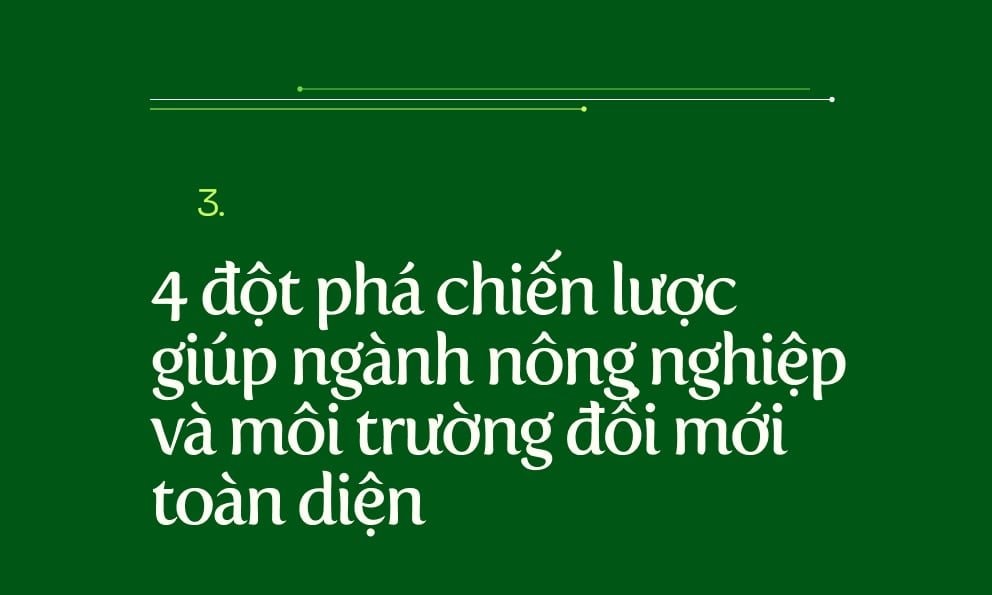 mt9.jpg