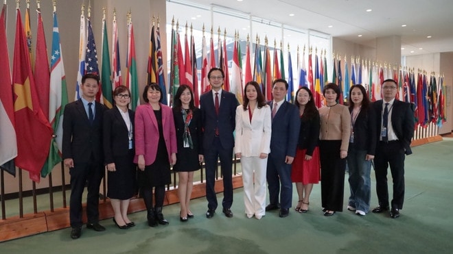 vna-potal-viet-nam-tai-dac-cu-vao-hoi-dong-nhan-quyen-lhq-nhiem-ky-20262028-8339263.jpg