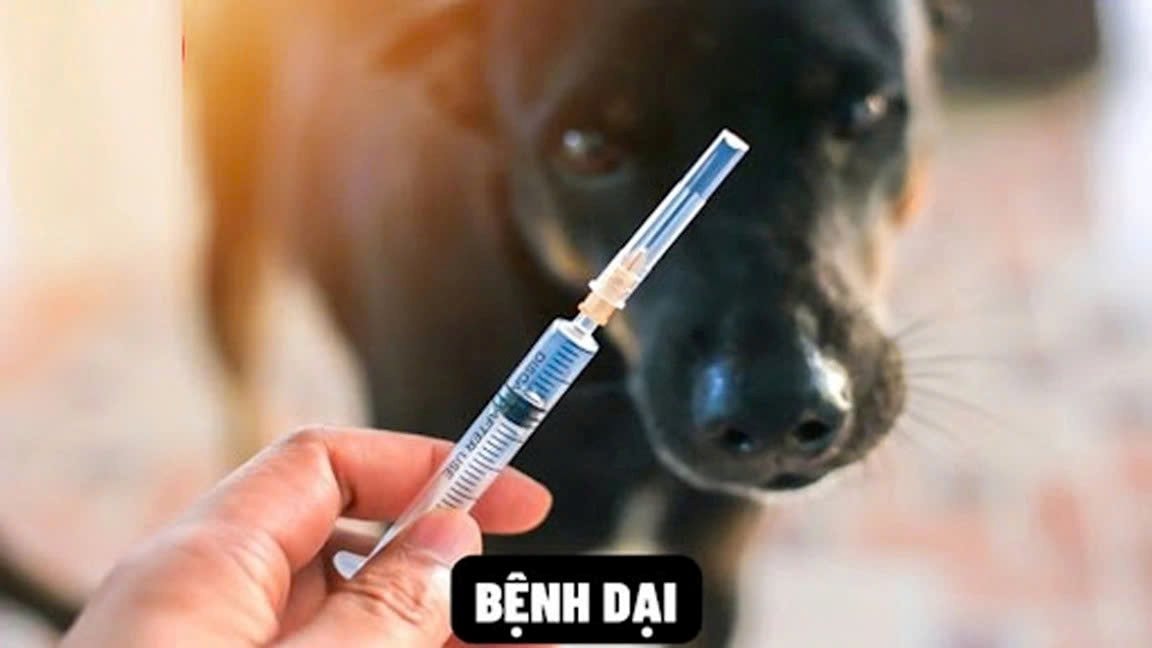 17-10-so-xd-benh-dai9.jpg