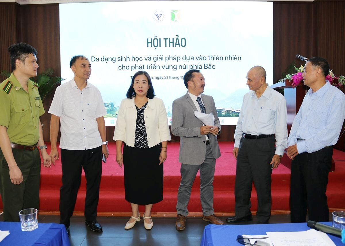 hoi-thao.jpeg