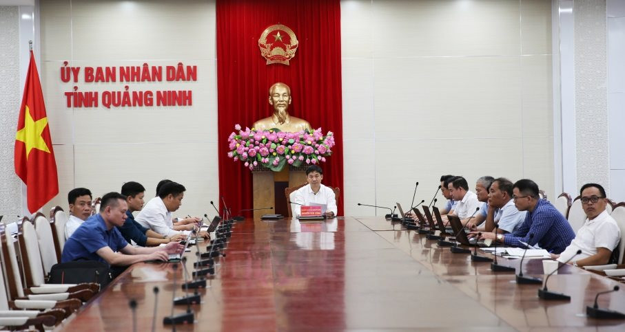 qninh.jpg