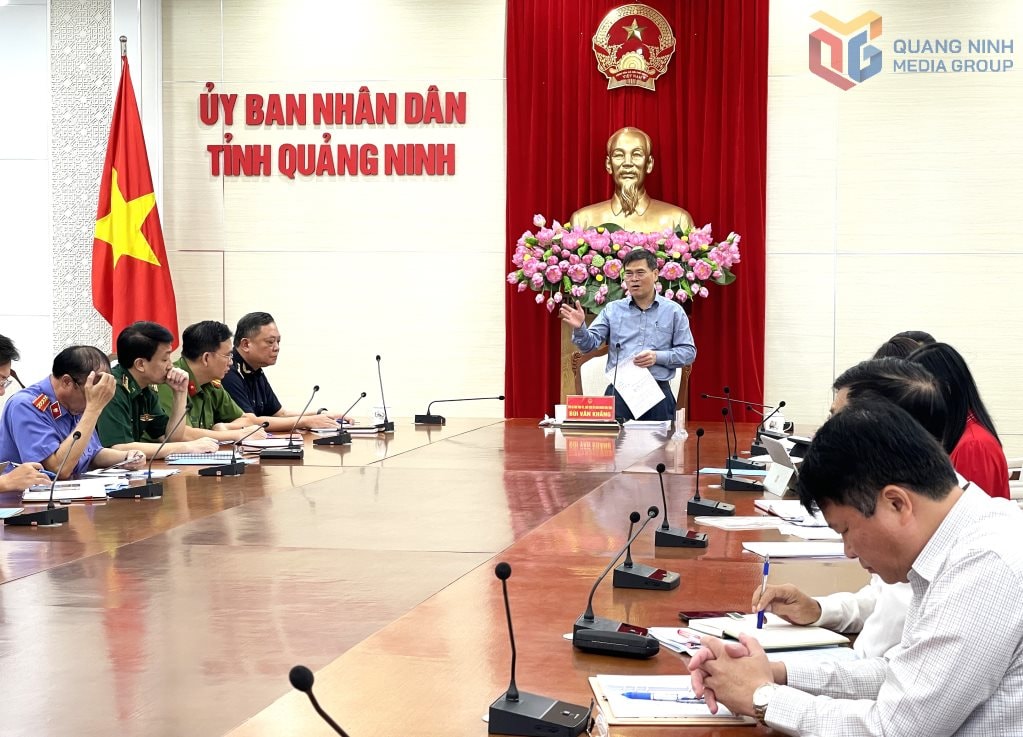 qn1.jpg