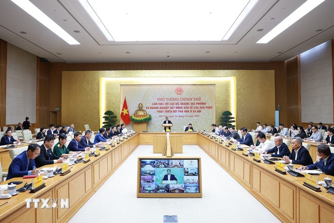 ttxvn-thu-tuong-lam-viec-ve-cac-giai-phap-phat-trien-dot-pha-nha-o-xa-hoi-8358804-4.jpg