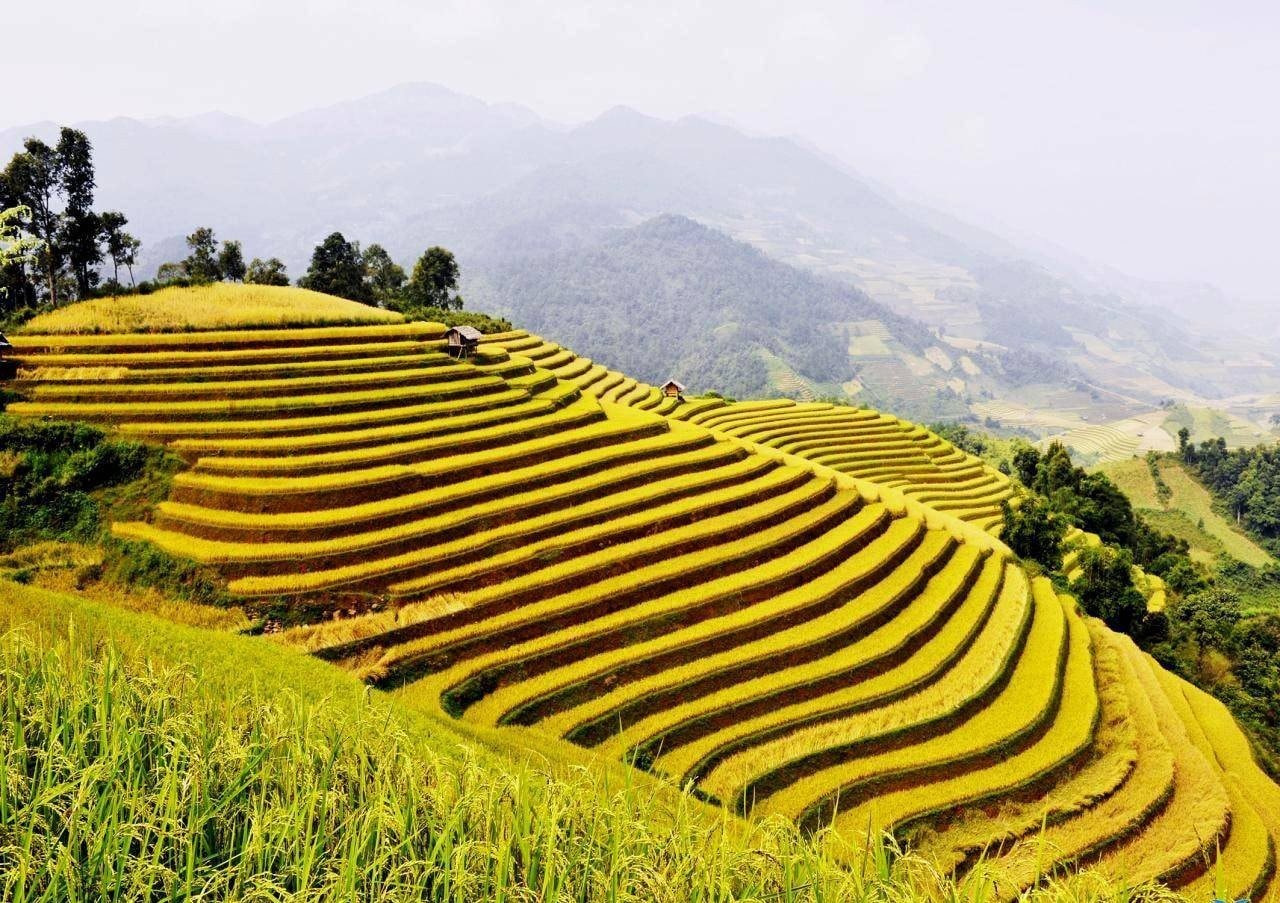 check-in-ruong-bac-thang-hong-thai_1732883813.jpg