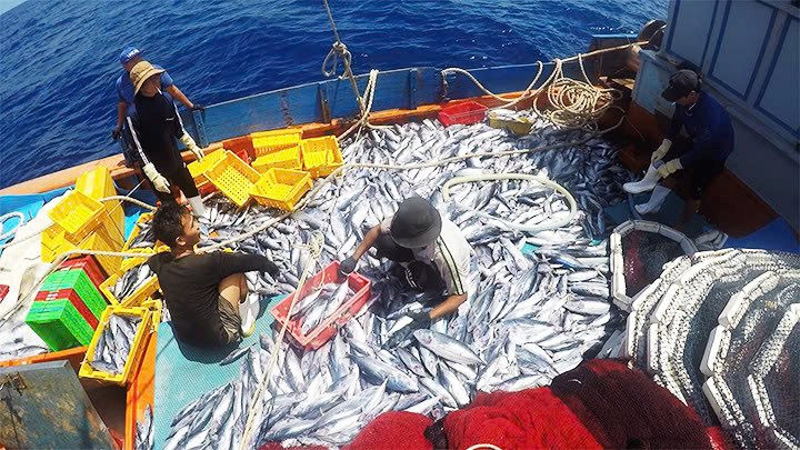 28-10-iuu10.jpg