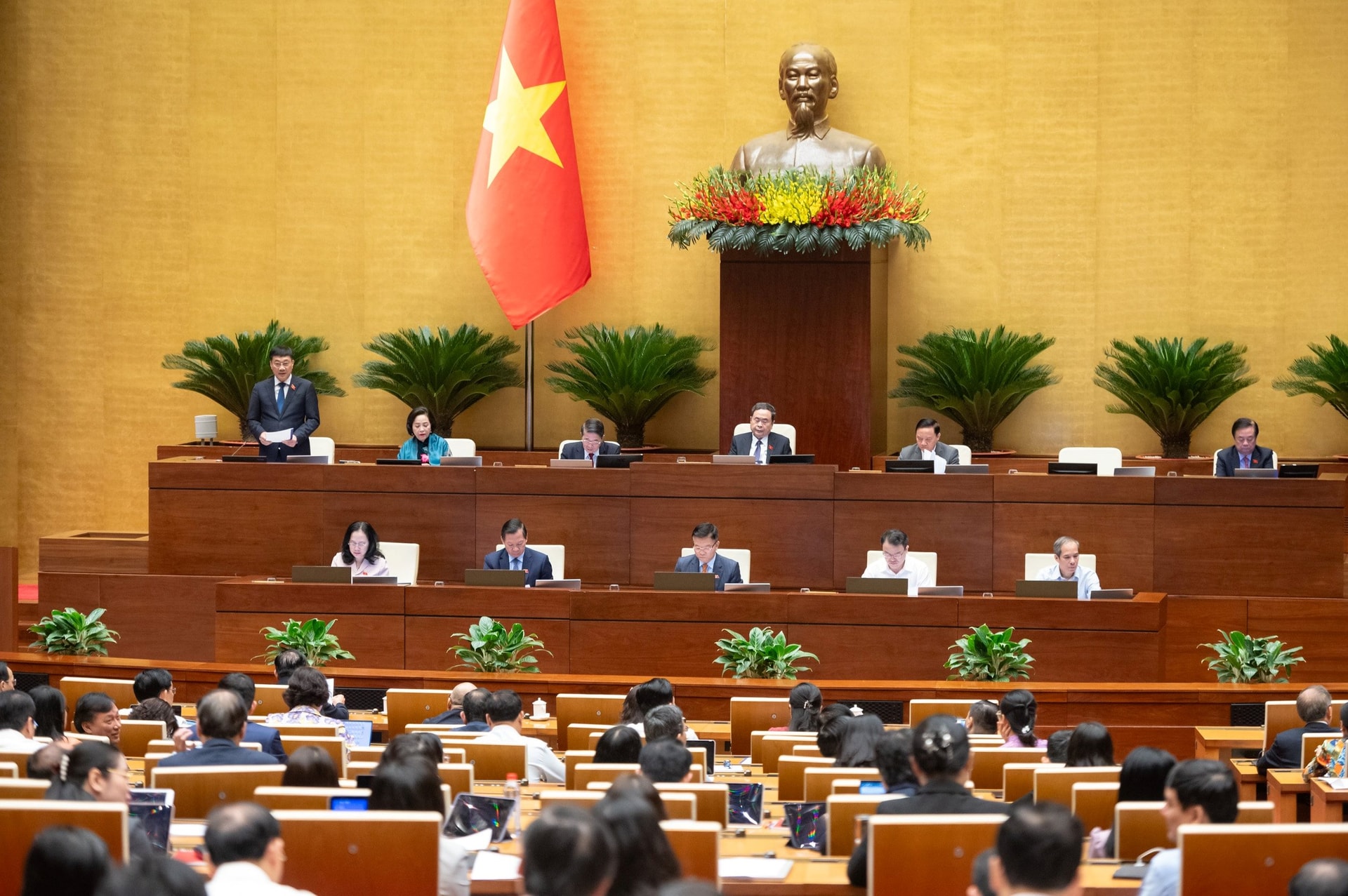 toan-canh-qh-29-10.jpg