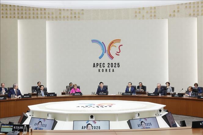 Dự phiên thứ nhất Hội nghị Cấp cao APEC: Chủ tịch nước Lương Cường đề xuất 3 trọng tâm- Ảnh 1.