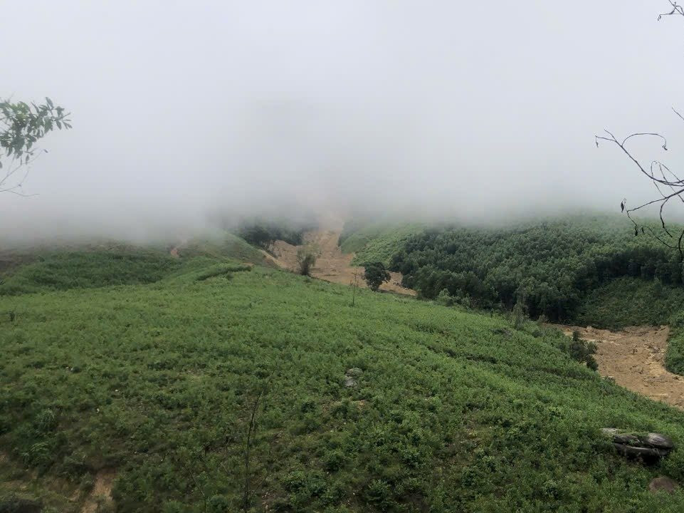 img_20251103_101250.jpg