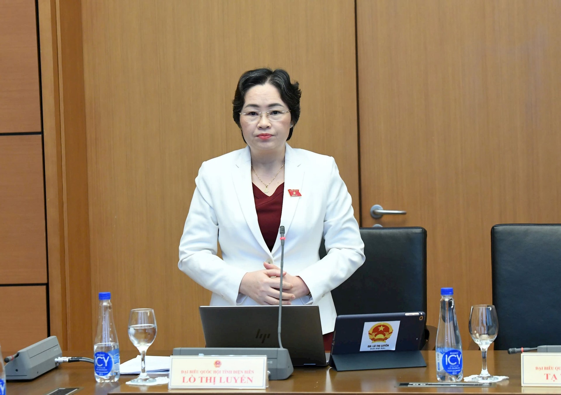 dai-bieu-luyen-dian-bien.jpg