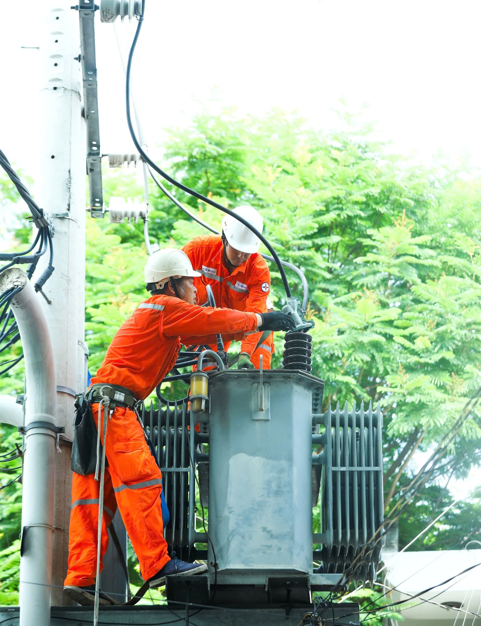 cbcnv-evnspc-tang-cuong-kiem-tra-khac-phuc-cac-khiem-khuyet-tren-luoi-dien.jpg