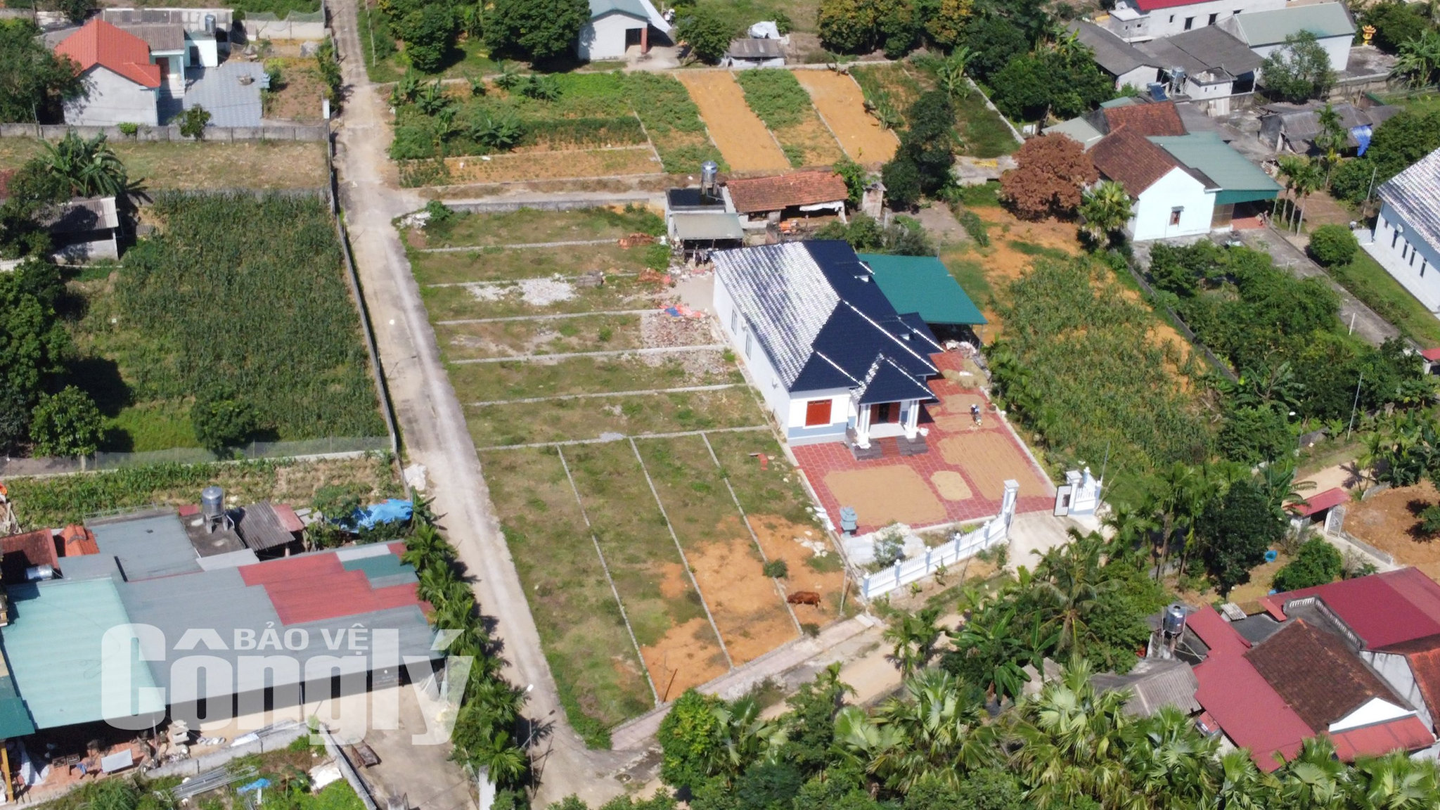 dji_0168.jpg