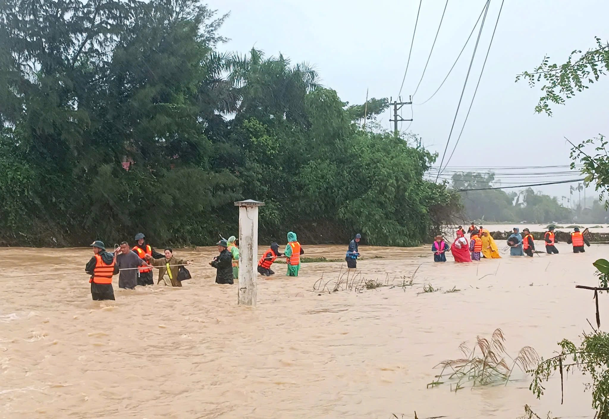 mualu.jpg