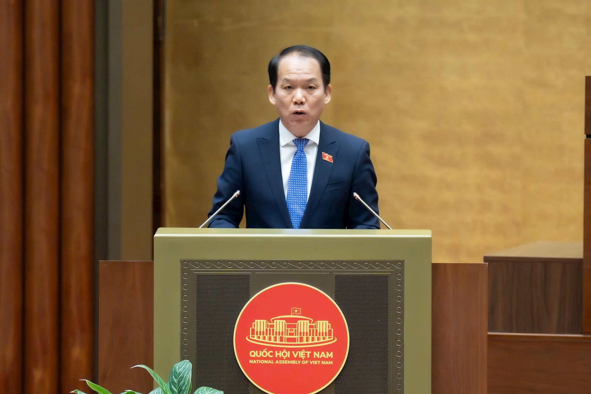 hoang-thanh-tung.jpg