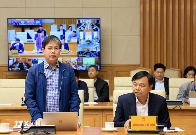 ttxvn-pttg-hong-ha-3.jpg