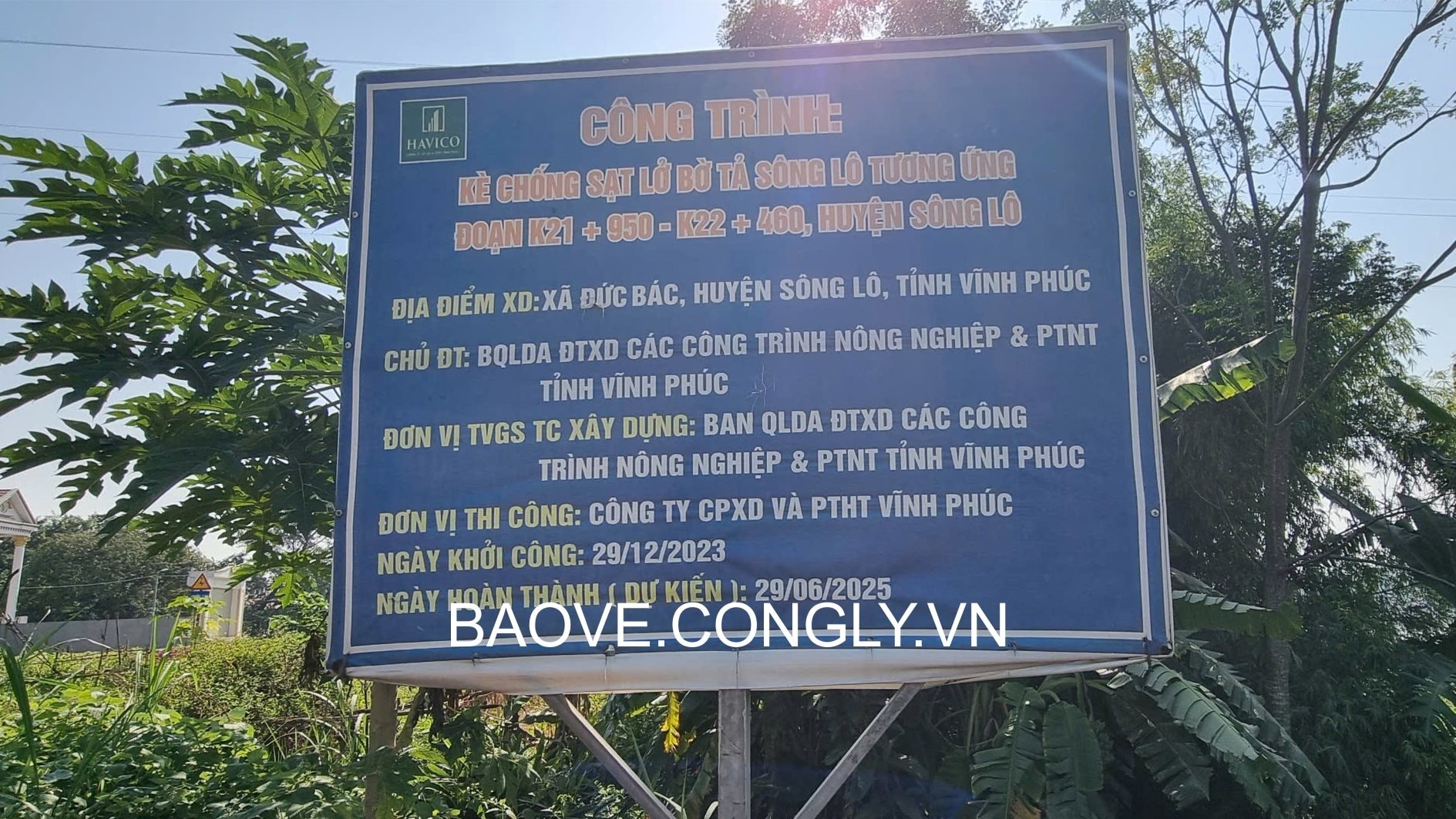 tt-du-an.jpg