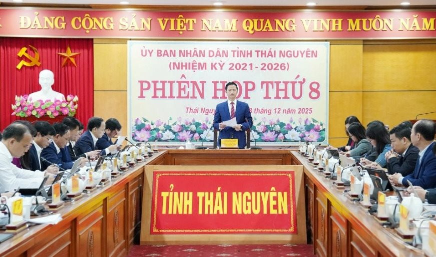 tn1.jpeg