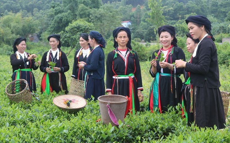 ad99e2cd991c1ce7e60096b7761b79f4563501d80fad092e60fcc33c04fcfdcf60c3968ef108-_doi-song-dong-bao-vung-dong-bao-1671872385031.jpg