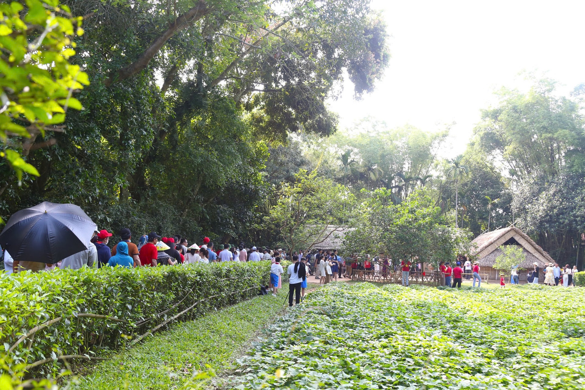 Du lịch Nghệ An ước đón 9,9 triệu lượt khách năm 2025