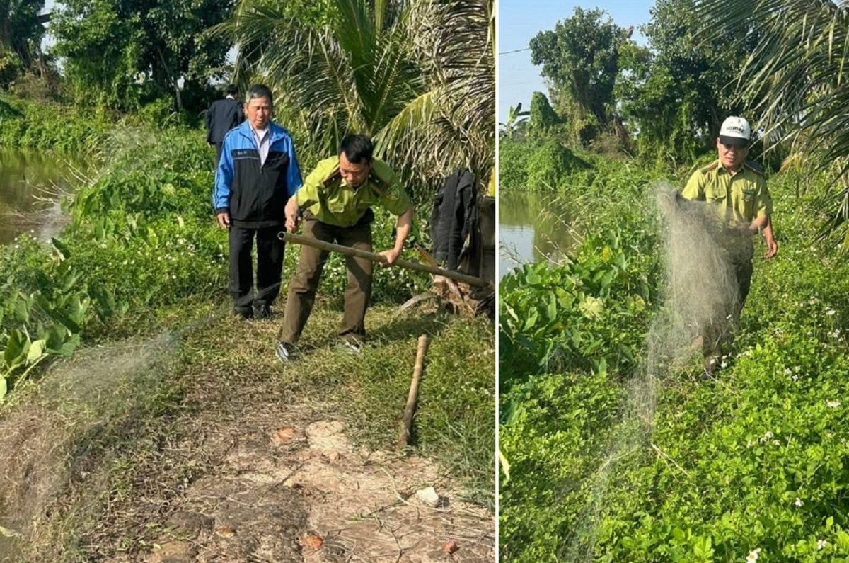 Hải Phòng: Ngăn chặn tình trạng săn bắt chim hoang dã, chim di cư trái phép