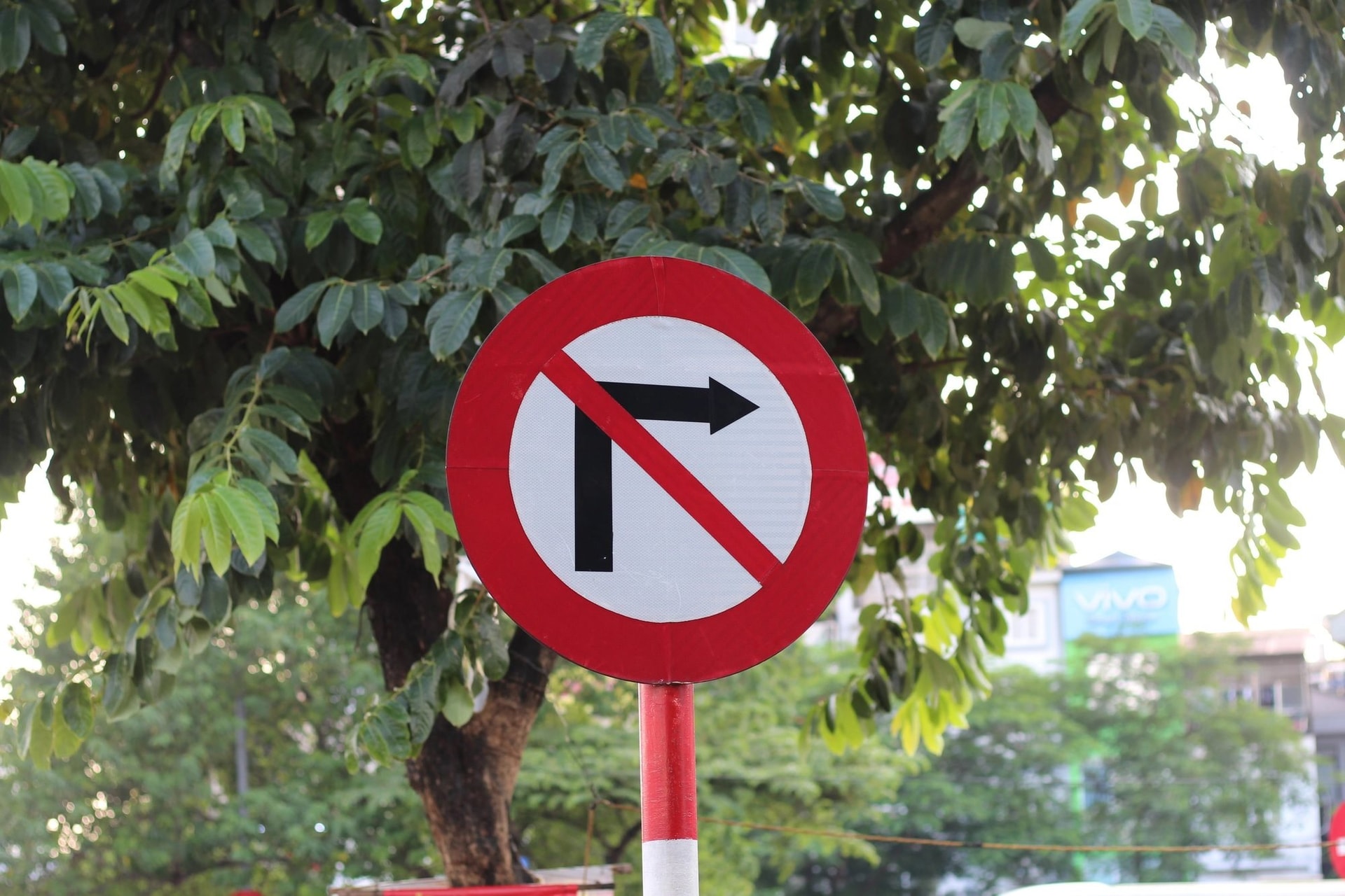 pha-hoai-bien-bao-giao-thong-co-the-bi-phat-tu-toi-12-nam-anh-1.jpg