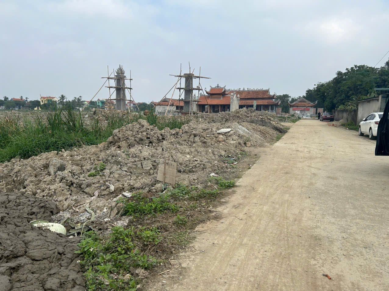 datthai.jpg