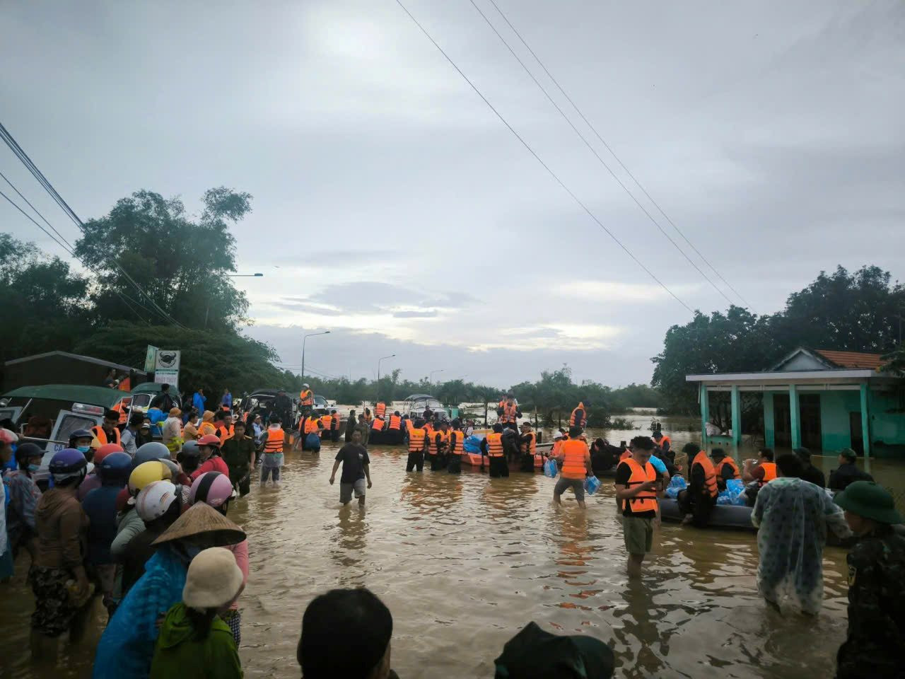 bai-311.jpg